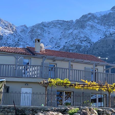 Casa Basgiu, Chambres Avec Balcon Et Table D'Hotes Zilia Εξωτερικό φωτογραφία