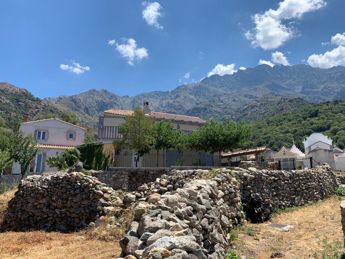 Casa Basgiu, Chambres Avec Balcon Et Table D'Hotes Zilia Εξωτερικό φωτογραφία