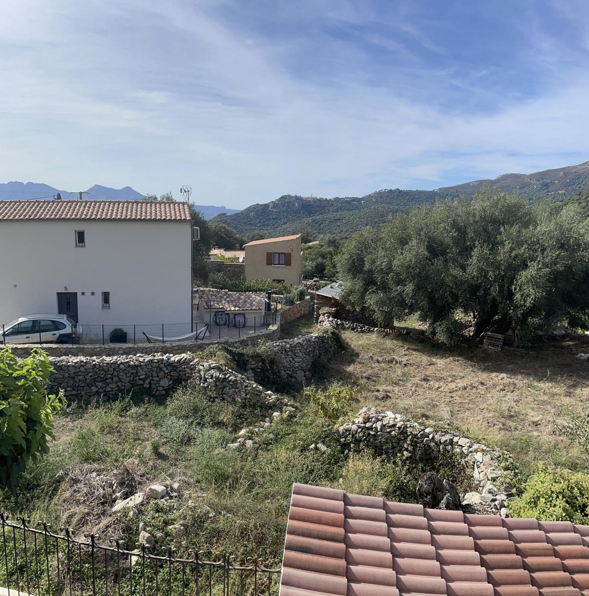 Casa Basgiu, Chambres Avec Balcon Et Table D'Hotes Zilia Εξωτερικό φωτογραφία